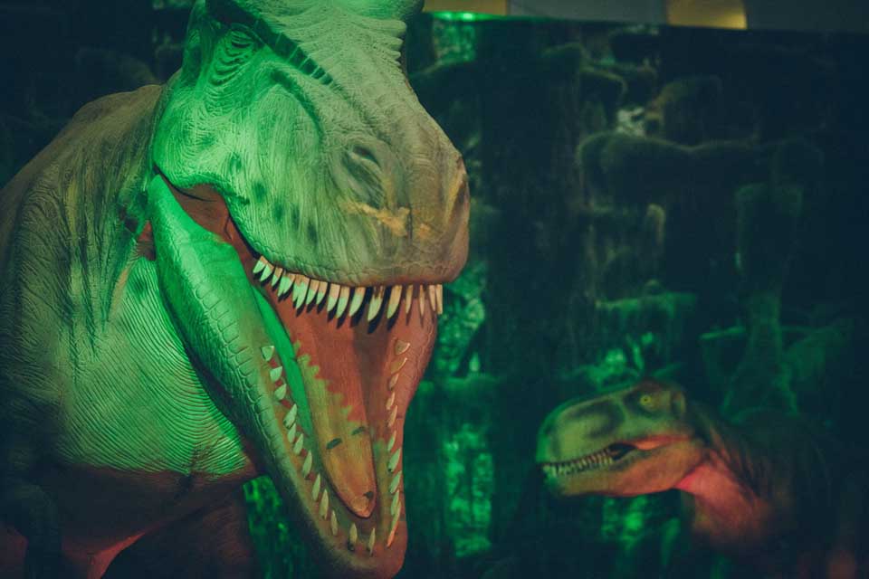 Динозавры екатеринбург. Выставка динозавров в детском мире на Лубянке. Шоу динозавр. Выставка динозавров в Центральном детском мире. Выставка динозавров Саратов.