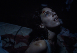 48-й ММКФ: «КОШКА В МЫШЕЛОВКЕ» Брока Боделла. «Дикие ночи» [В тексте присутствуют спойлеры]