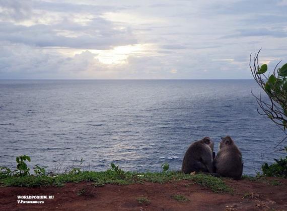 Бали - райский остров!