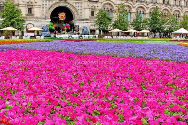 Парад цветов в центре Москвы