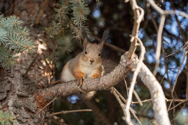 Всемирный день дикой природы: празднуем на ВДНХ
