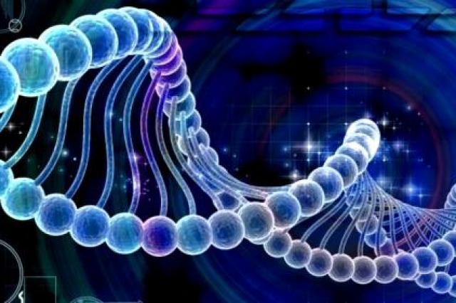 Ученые обнаружили новый тип ДНК в форме узла 
