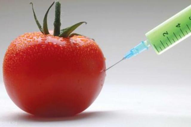 Европейский суд отнес CRISPR-продукты к ГМО