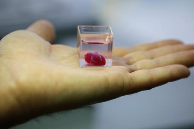 Ученые в Израиле впервые напечатали сердце на 3D-принтере