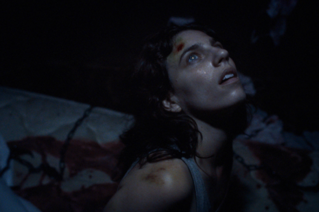 48-й ММКФ: «КОШКА В МЫШЕЛОВКЕ» Брока Боделла. «Дикие ночи» [В тексте присутствуют спойлеры]