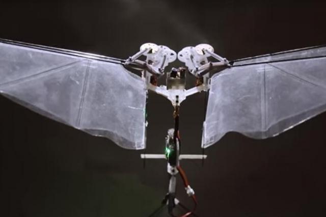 Ученые создали робота-муху
