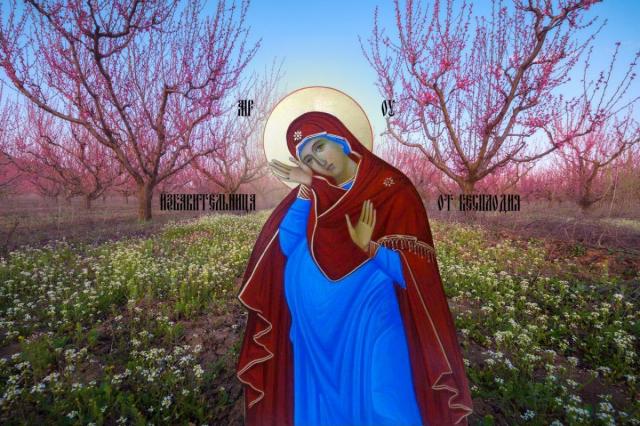 На выставке Вероники Пономаревой-Коржевской «Лики Марии — Образы Света» представят мультимедийные и голографические иконы
