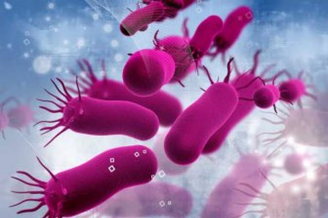 Ученые создают бактерии для лечения рака