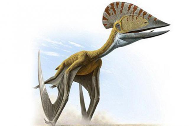 Неизвестный вид динозавра нашли в Великобритании