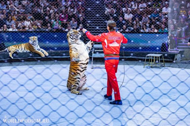 За кулисами волшебства: как прошла открытая репетиция в Большом Московском цирке