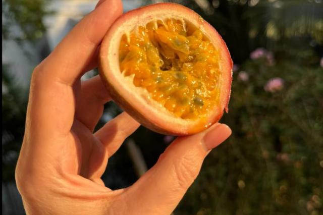 Факты о Тайских фруктах от Ирины Безруковой