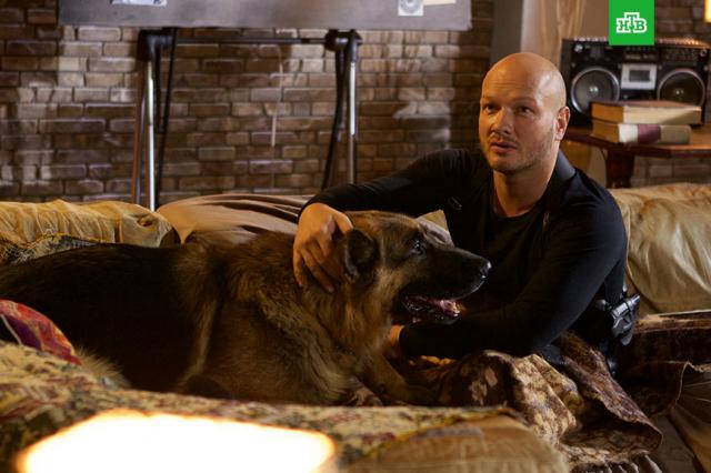 Телеканал НТВ приступил к съёмкам пятого сезона детектива «Пёс»