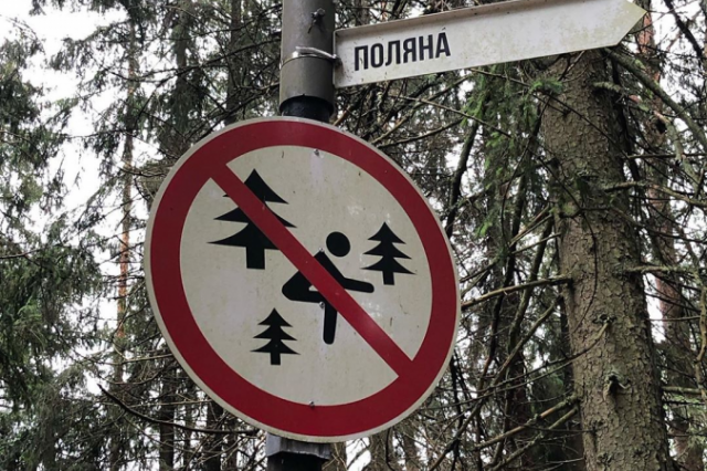 А что это вы тут Заинстаграмили? #1207