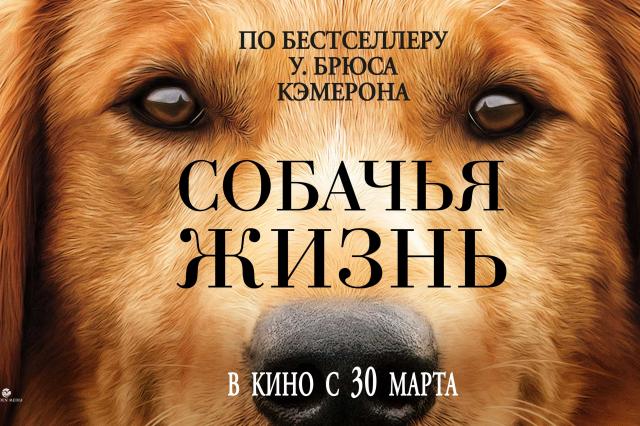 Фильм «Собачья жизнь»: "Собака есть единственное животное, верность которого непоколебима"