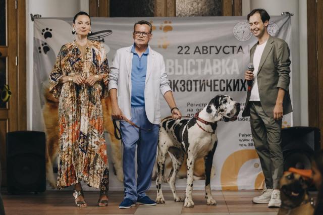 СТС покажет сериал «Домохозяин» с участием Владимира Лёвкина