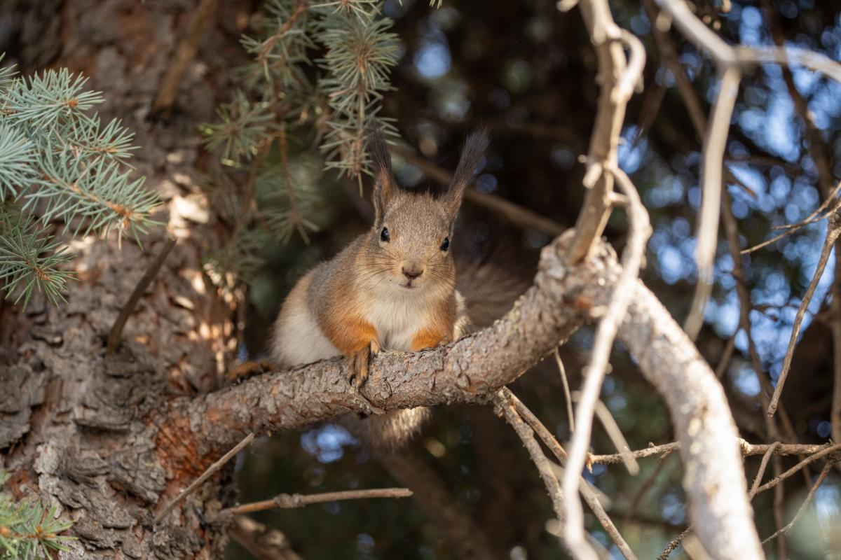 Всемирный день дикой природы: празднуем на ВДНХ