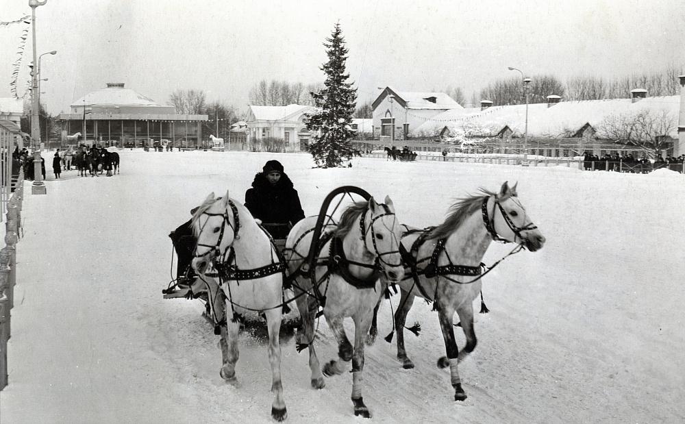 Самые веселые праздники: ВДНХ рассказывает о традициях зимних сезонов разных лет