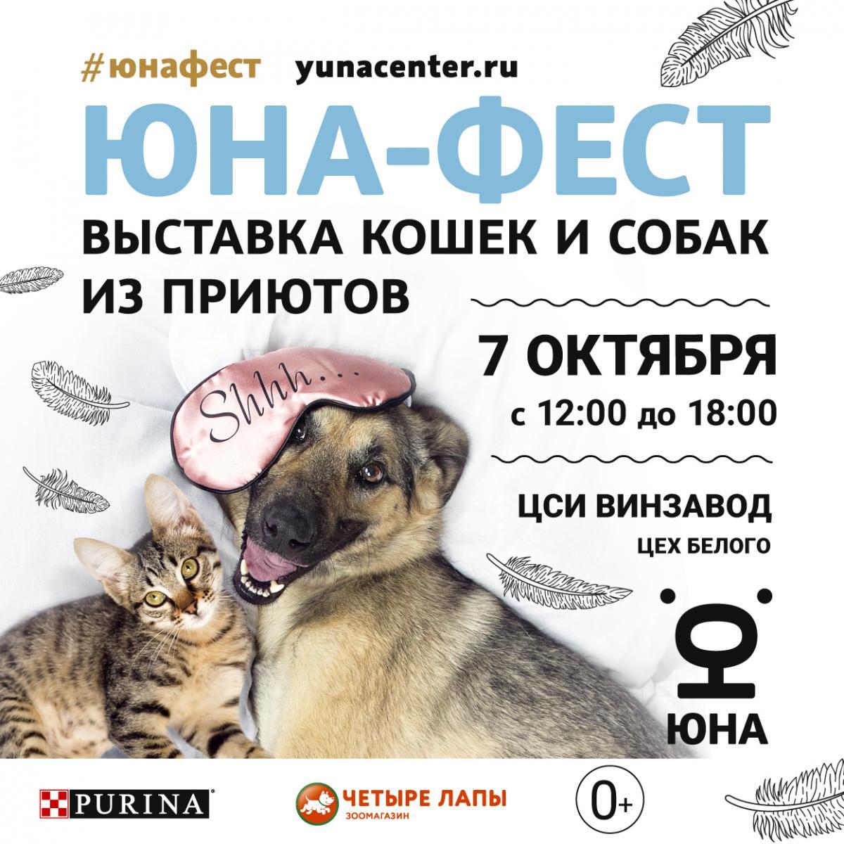  Центр реабилитации временно бездомных животных «Юна» проведет 10-ю Юбилейную выставку-пристройство собак и кошек из приютов