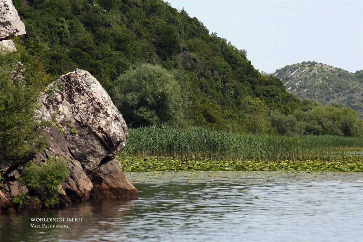 Скадарское озеро - крупнейшее на Балканском полуострове 