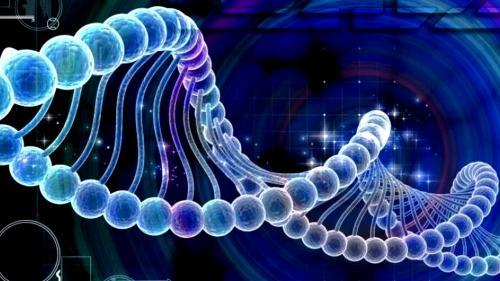 Ученые обнаружили новый тип ДНК в форме узла 