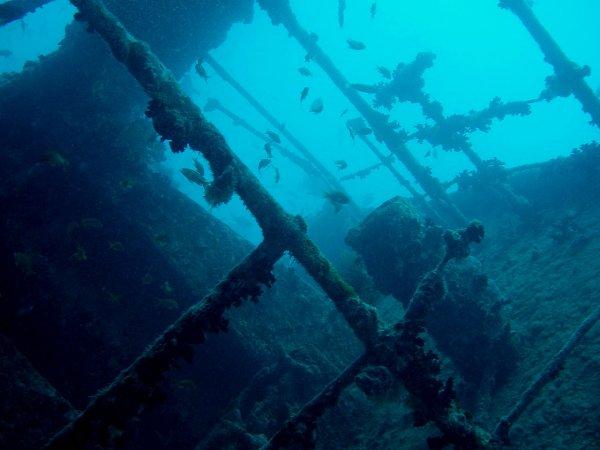У берегов Австралии обнаружили останки неизвестного корабля
