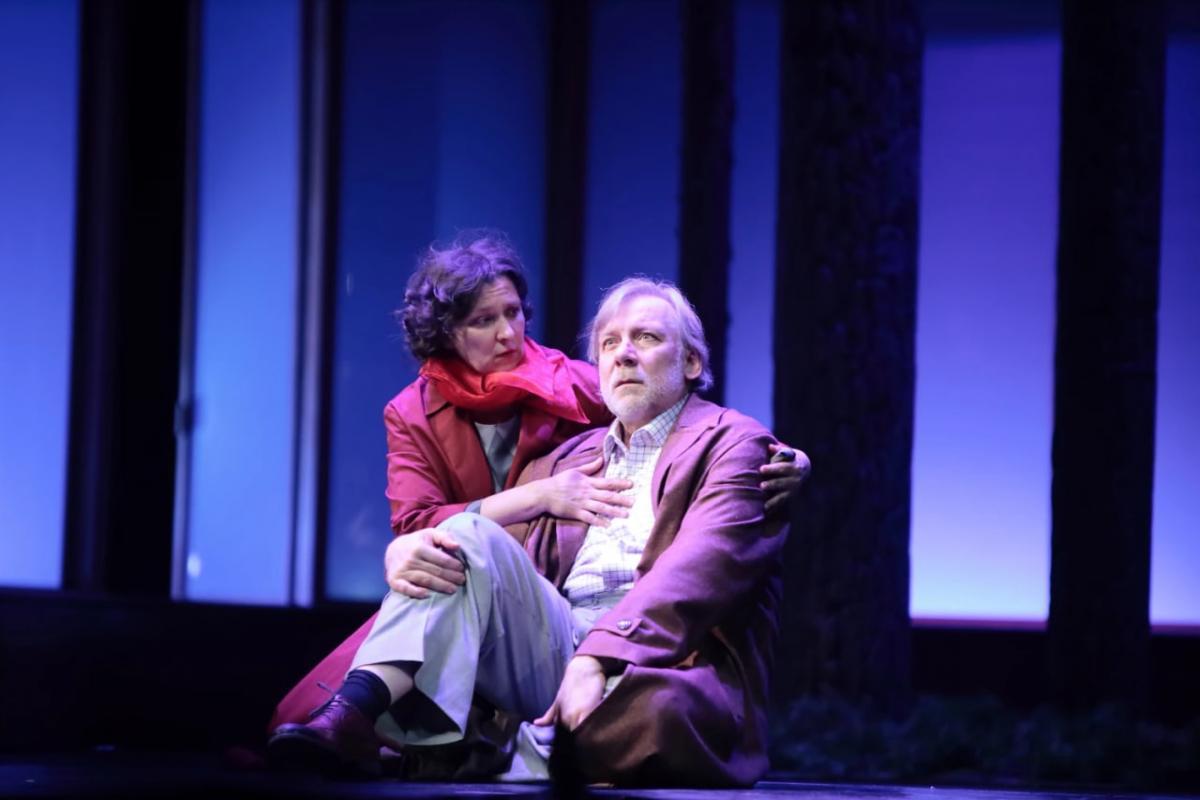 Репертуар Театра «Ленком Марка Захарова» на заключительную неделю января