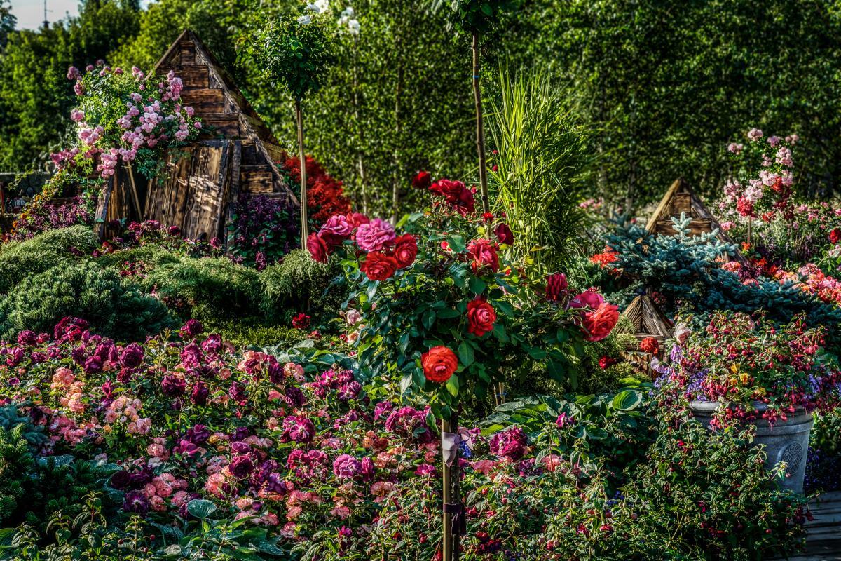 Юдашкин, Зайцев, Ахмадуллина и Гуляев создадут сады на Moscow Flower Show 