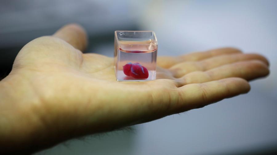Ученые в Израиле впервые напечатали сердце на 3D-принтере