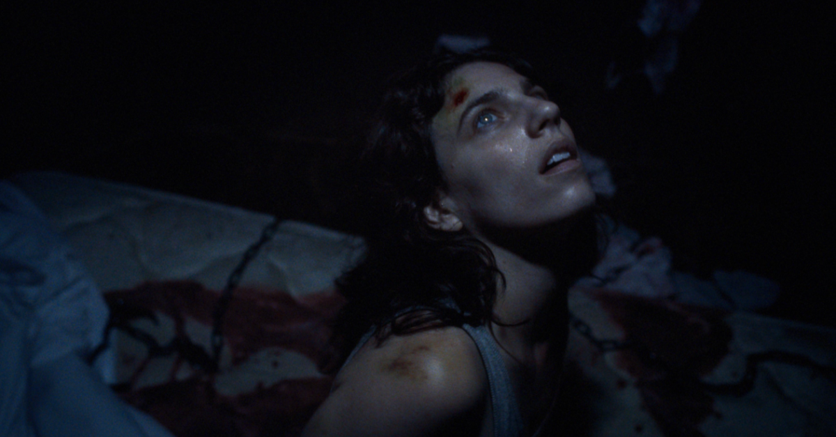 48-й ММКФ: «КОШКА В МЫШЕЛОВКЕ» Брока Боделла. «Дикие ночи» [В тексте присутствуют спойлеры]