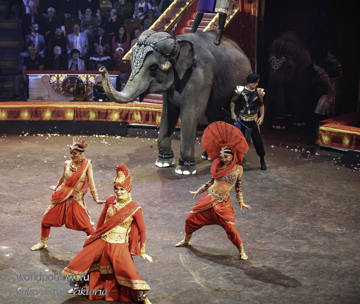 100-летний юбилей отечественного государственного цирка отметили грандиозным шоу в Цирке на Цветном бульваре!