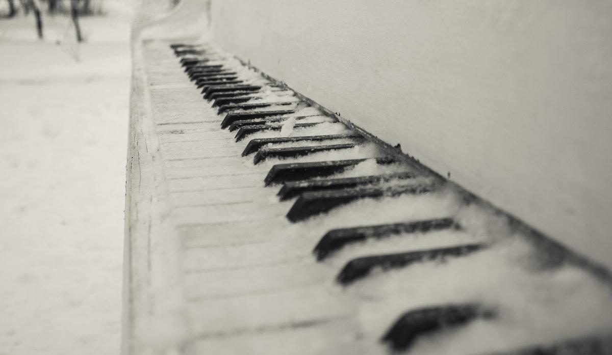 Петербургский пианист сыграл на рояле на заснеженной вершине горы