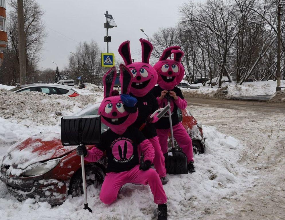 Кролики откопали Москву из-под снега