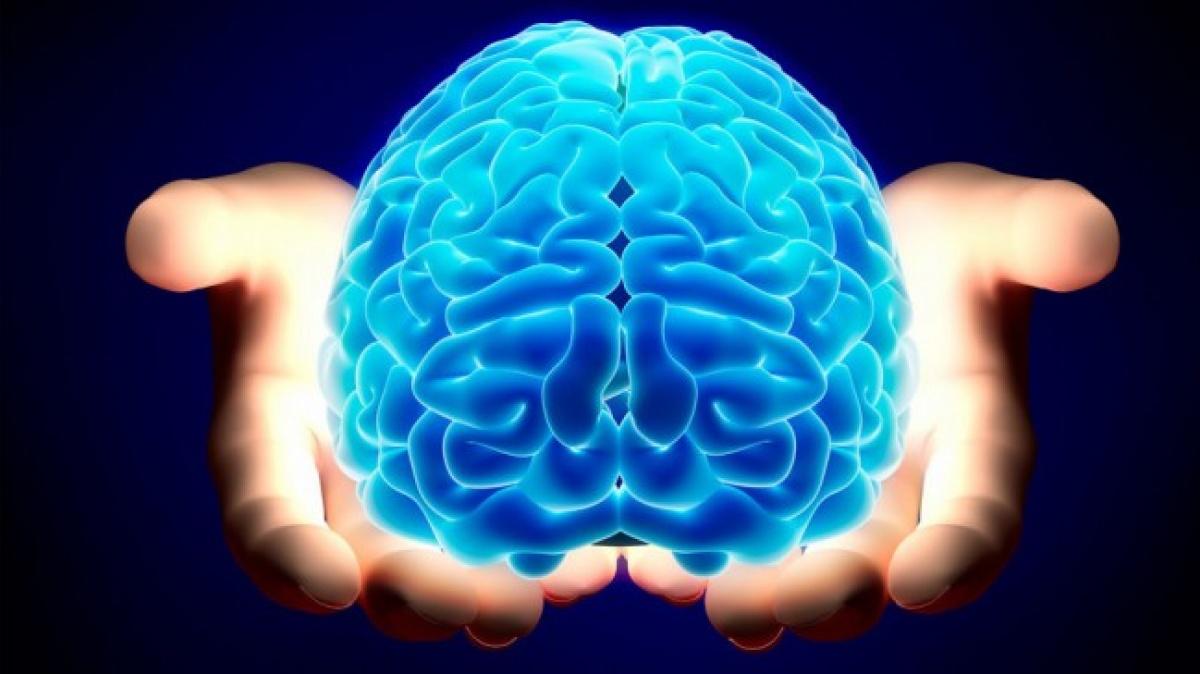 Ученые: мозг человека пытается переключить внимание четыре раза в секунду