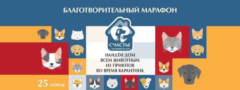 Онлайн-марафон по пристройству животных «Счастье с доставкой на дом»