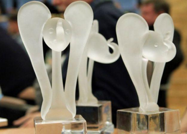 Премия Гильдии киноведов и кинокритиков «Белый слон» будет вручена в Доме кино
