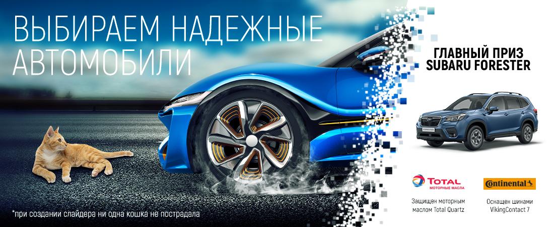 Рейтинг автошторок на автомобиль