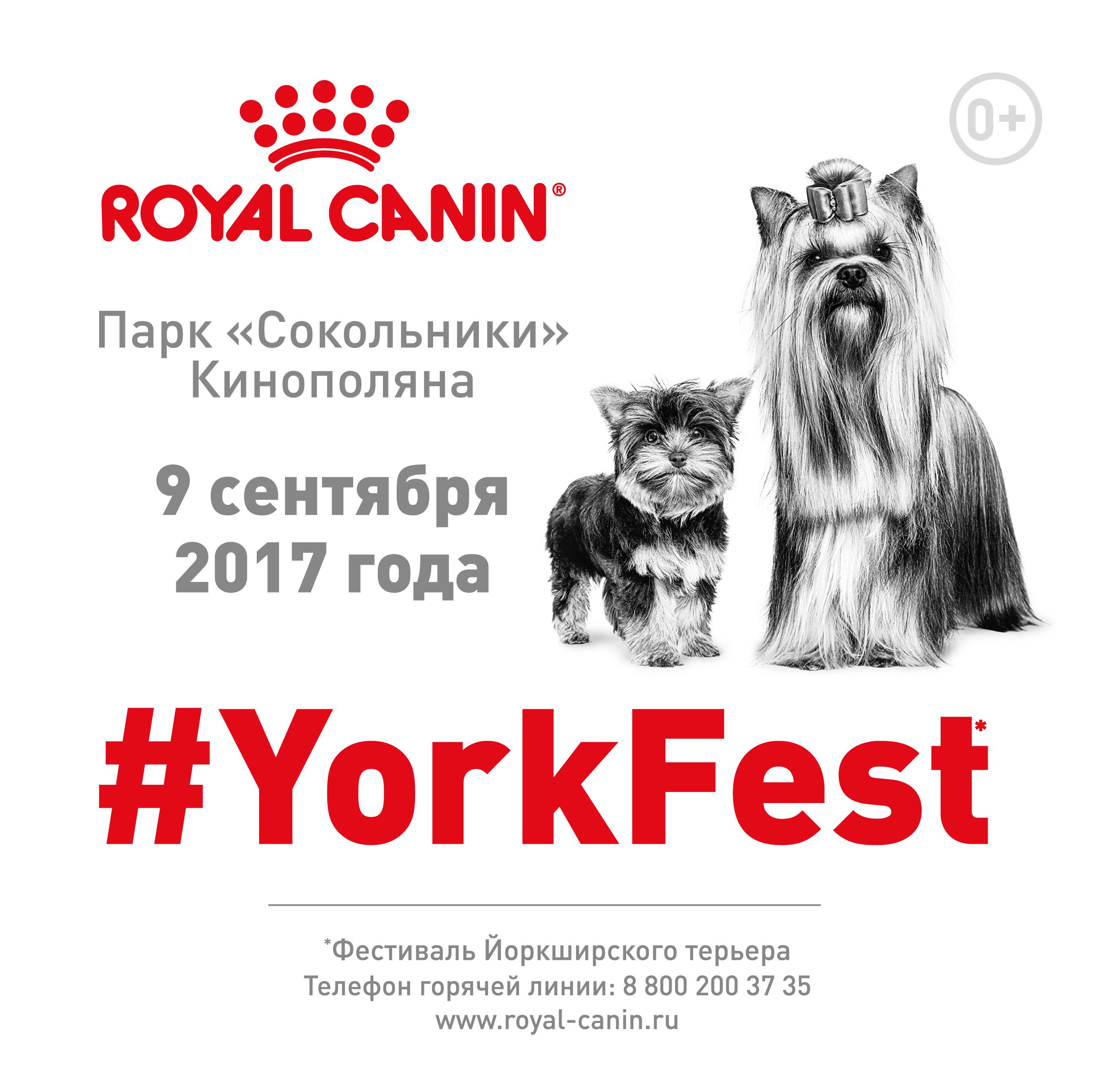 В парке «Сокольники» пройдёт первый YORK FEST | WORLD PODIUM