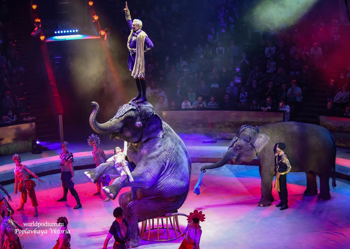 «Страшная сила!»: премьера потрясающего шоу в Большом Московском цирке
