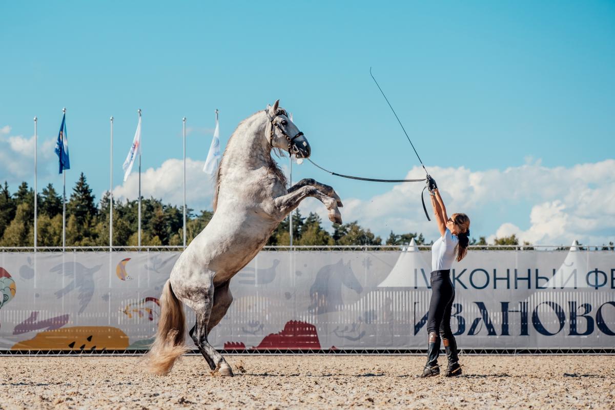 Объявлены даты юбилейного конного фестиваля «Иваново поле» 