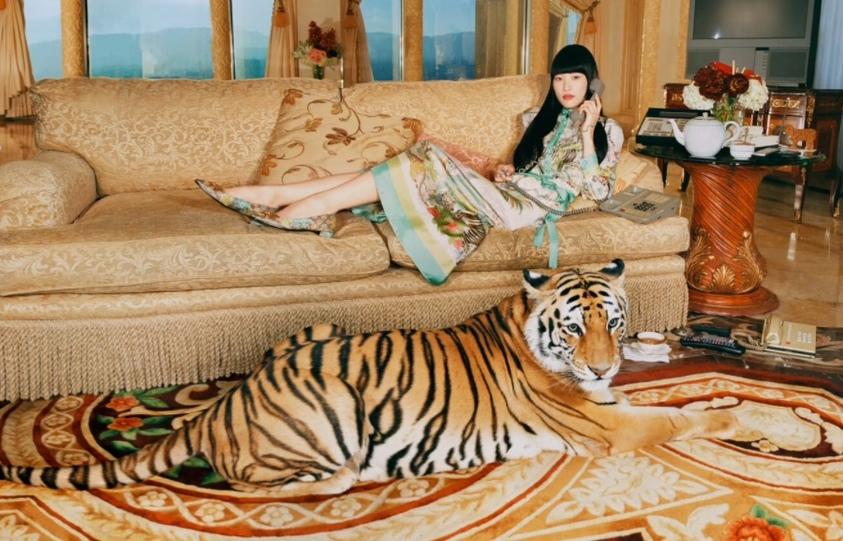 «Gucci Tiger»: в честь наступившего года Тигра модный дом Gucci представил новую коллекцию