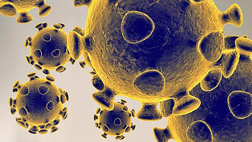 Российские учёные «расшифровали» полный геном коронавируса