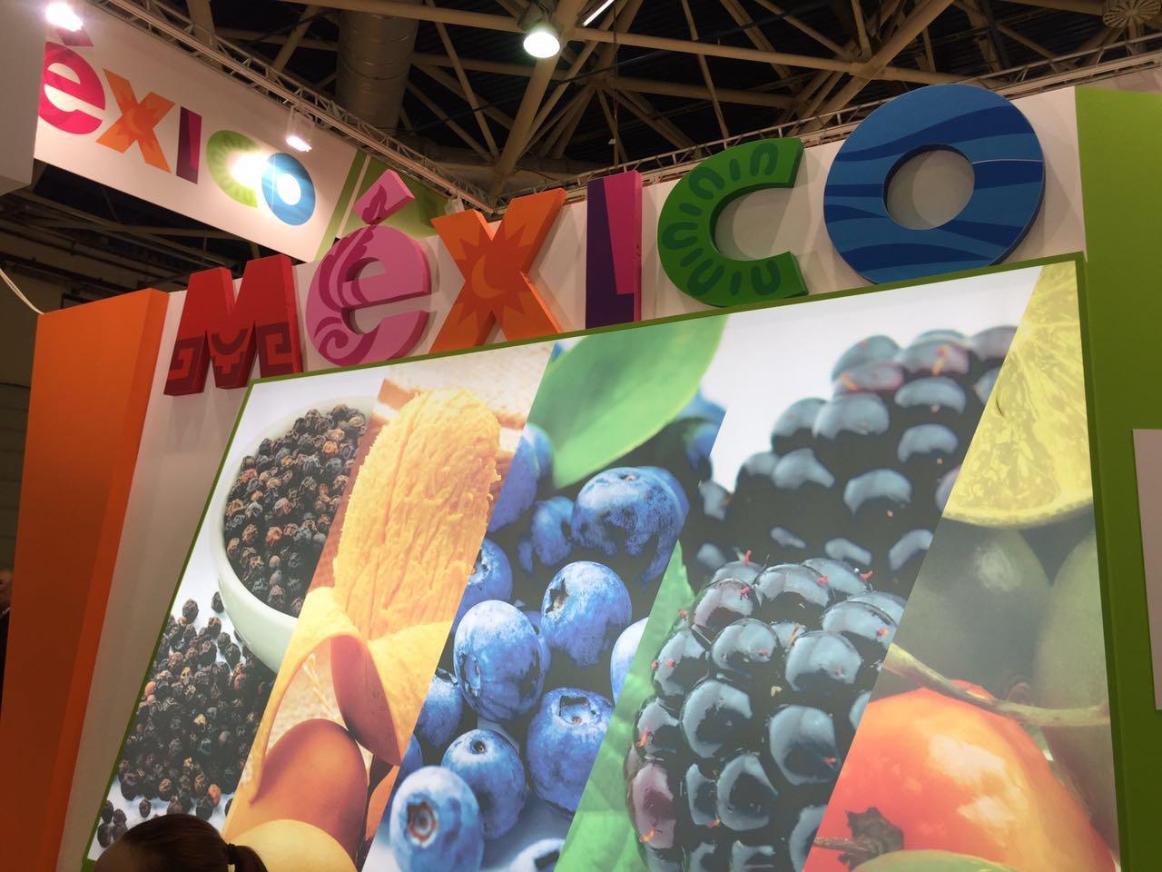 Открытие павильона Мексики на продовольственной выставке World Food 2016