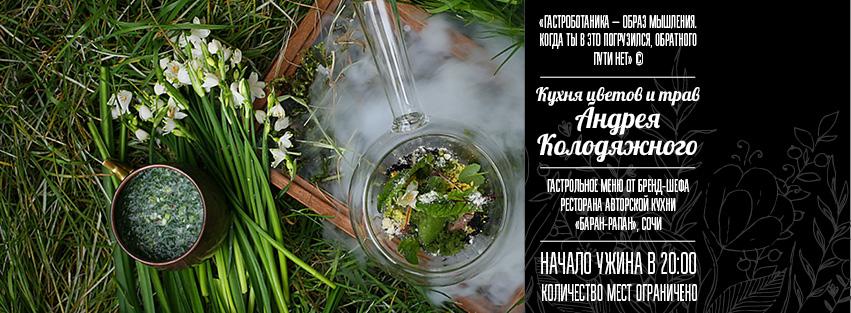 «Кухня цветов и трав» Андрея Колодяжного