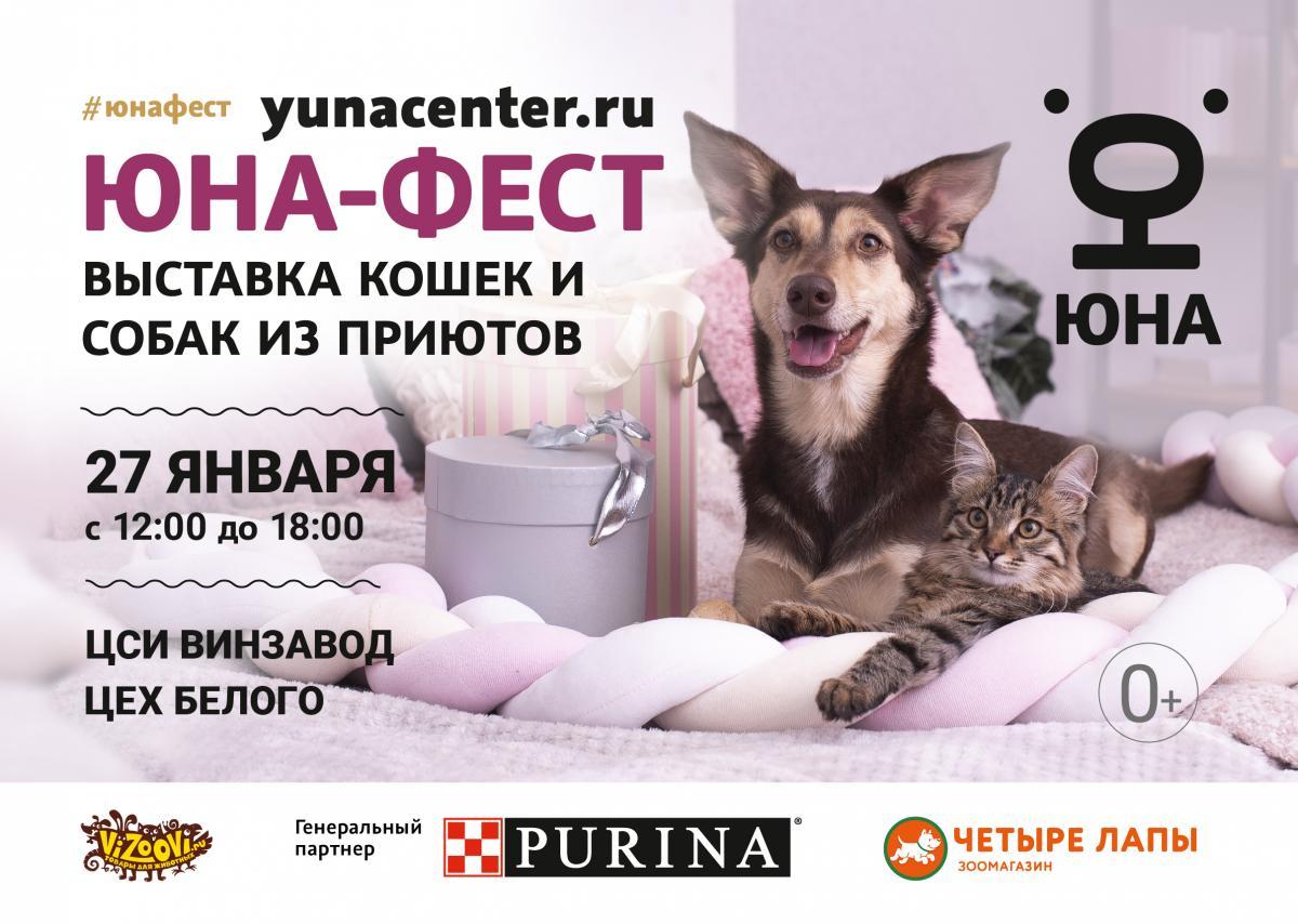 Центр реабилитации временно бездомных животных «Юна» проведет выставку-пристройство собак и кошек из приютов 