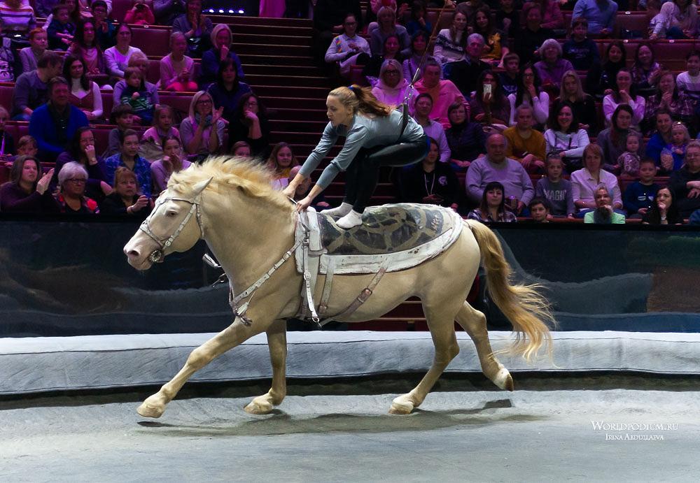 Сборная России по конному спорту на Олимпиаде-2021 в Токио
