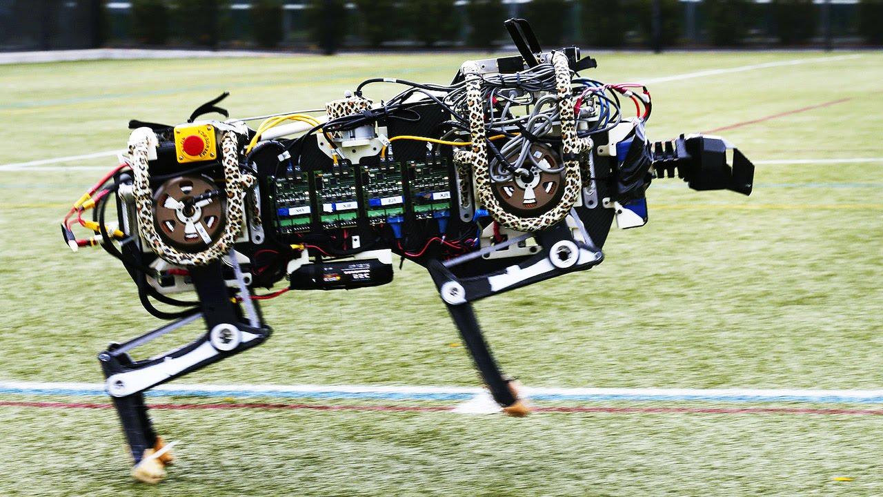 Инженеры показали слепого робота-гепарда