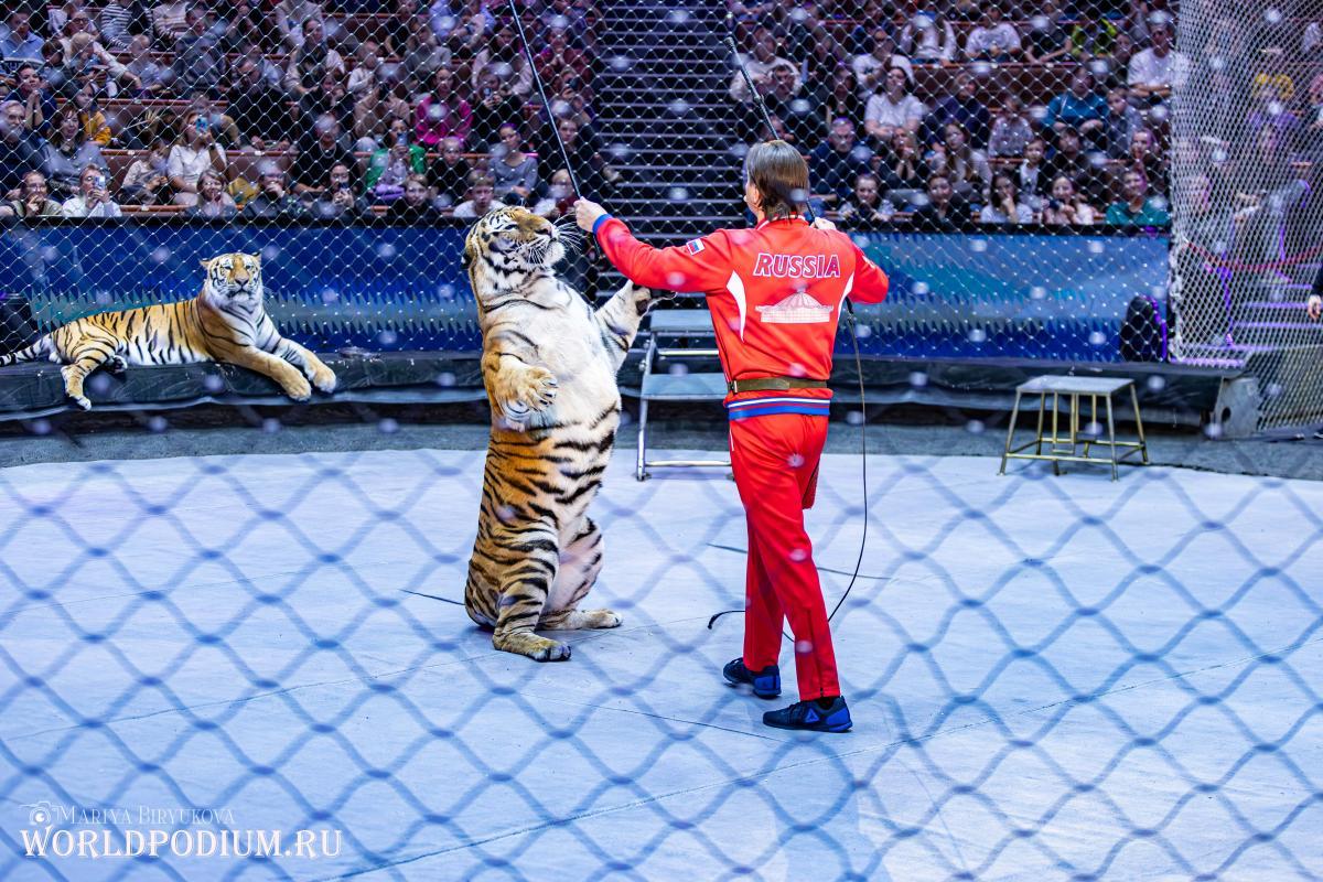 За кулисами волшебства: как прошла открытая репетиция в Большом Московском цирке