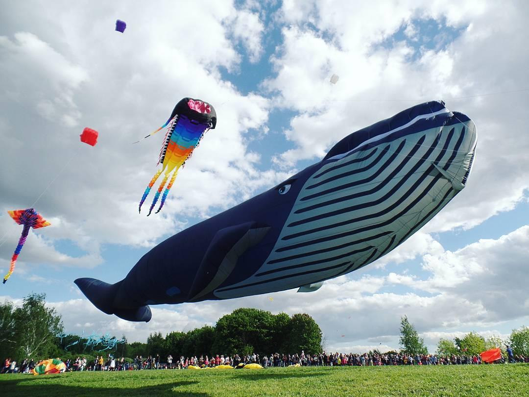 XV осенний фестиваль воздушных змеев &quot;Пестрое небо&quot;