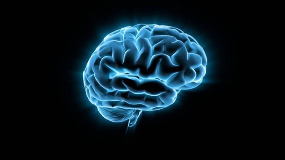 Учёные обнаружили &quot;центр пессимизма&quot; в головном мозге человека