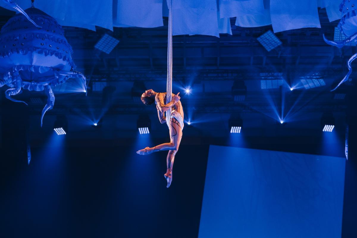 Более 50 тыс. зрителей уже посмотрели цирковое шоу «Сны Пушкина»  